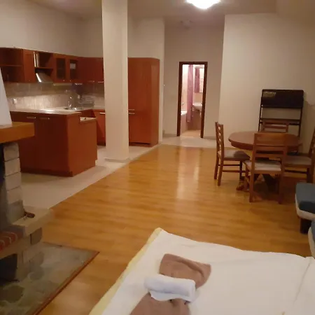 Apartament Two Bedroom With Fireplace And Mountain View
