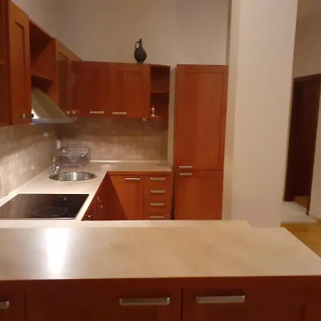 Two Bedroom With Fireplace And Mountain View Apartament *